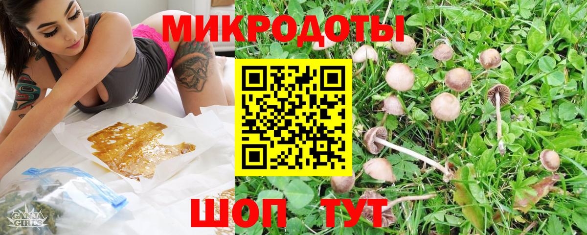Елец  Галлюциногенные грибы GOLDEN TEACHER  Вход с VPN 