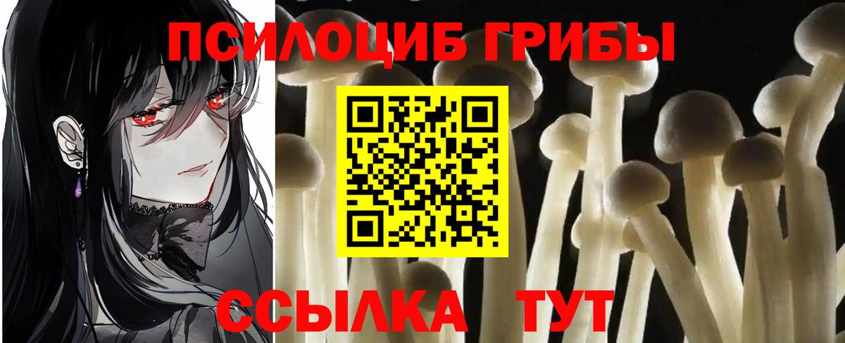 Псилоцибиновые грибы Magic Shrooms Елец